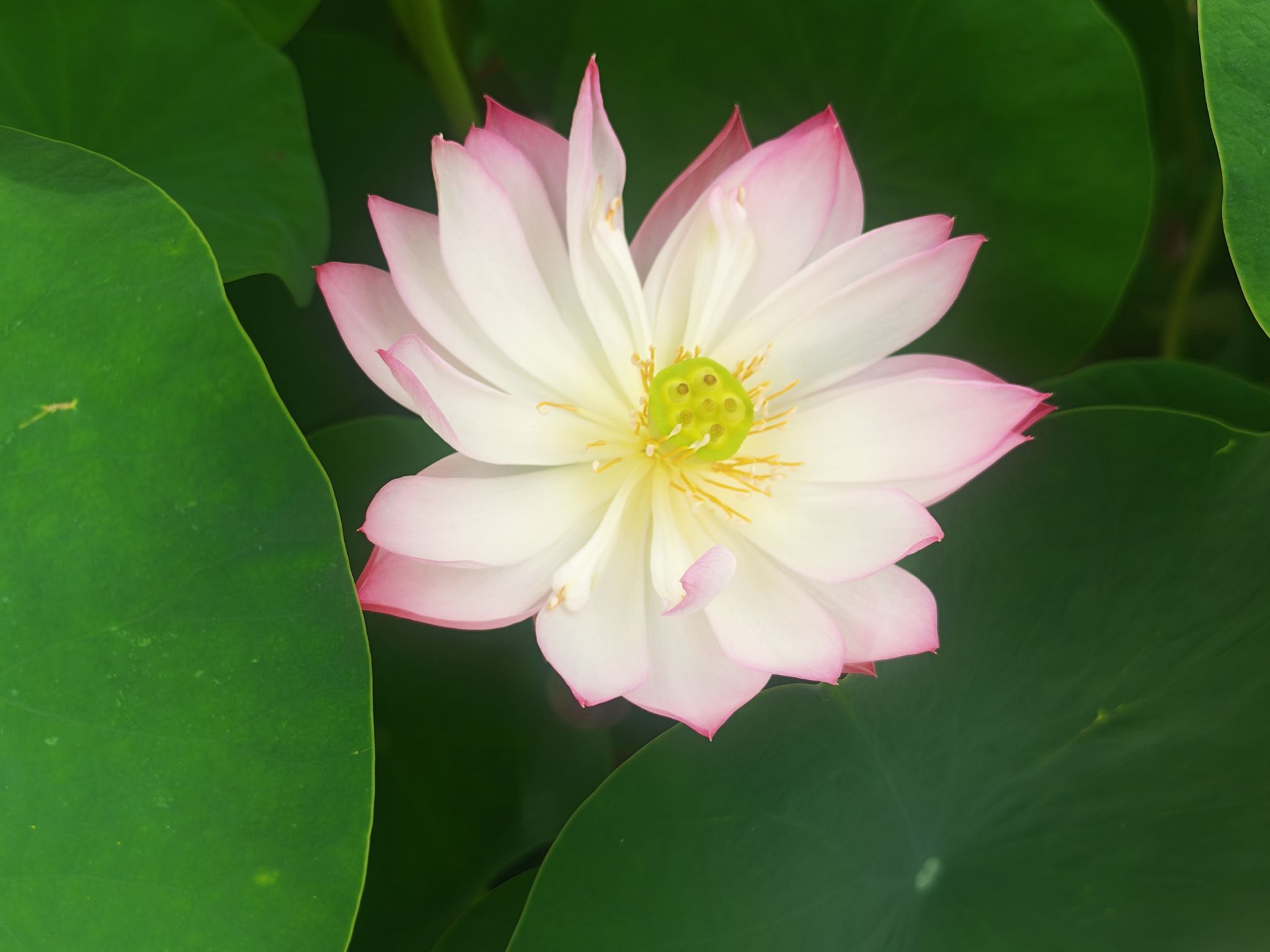 此外（刘彦君）