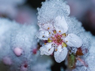活动摄影