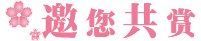 ob体育平台正版官网