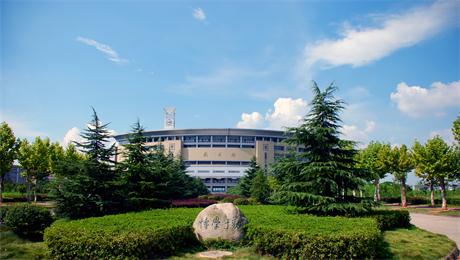 第九届全国大ob体育平台官网优惠活动