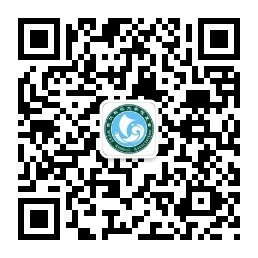 ob体育平台官网优惠活动